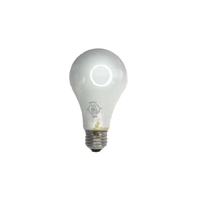 Ph/213 115-120v 250w E-26 Base Enlarger Bulb
