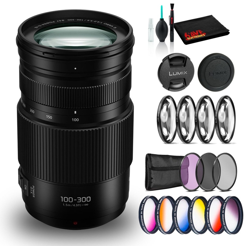 Panasonic Lumix G Vario 100-300mm f/4-5.6 II POWER O.I.S. Lens