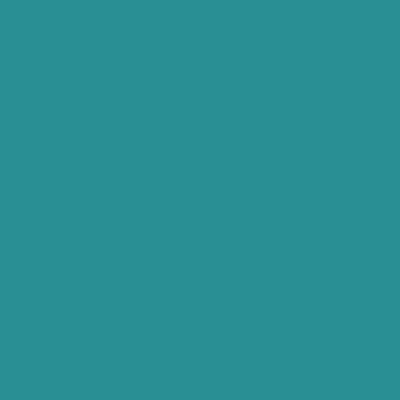 Savage Seamless Paper 107” x 36 ft – Teal