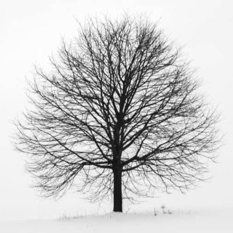 35mm Black & White Film Development Standard – 1200 x 1800 No Prints Standard – One Week