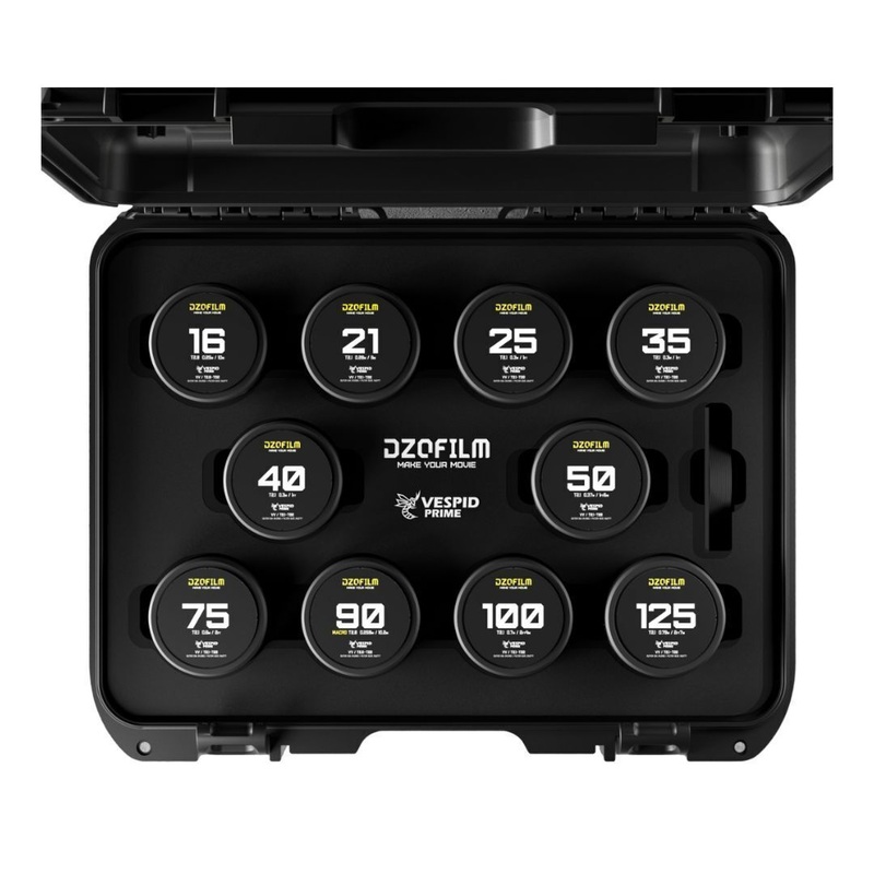 DZOFilm VESPID Prime Cine 10-Lens Kit with 270 Degrees Focus Rotation (PL and EF Mounts)