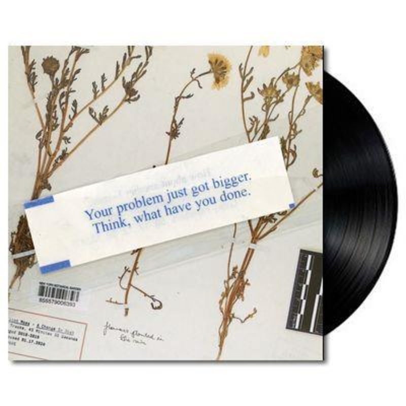 A Change In Diet (Vinyl)