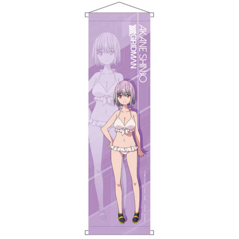 SSSS.GRIDMAN Mini Wall Scroll Akane Shinjo