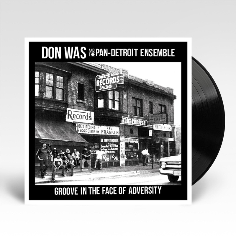 Groove In The Face Of Adversity (Vinyl)