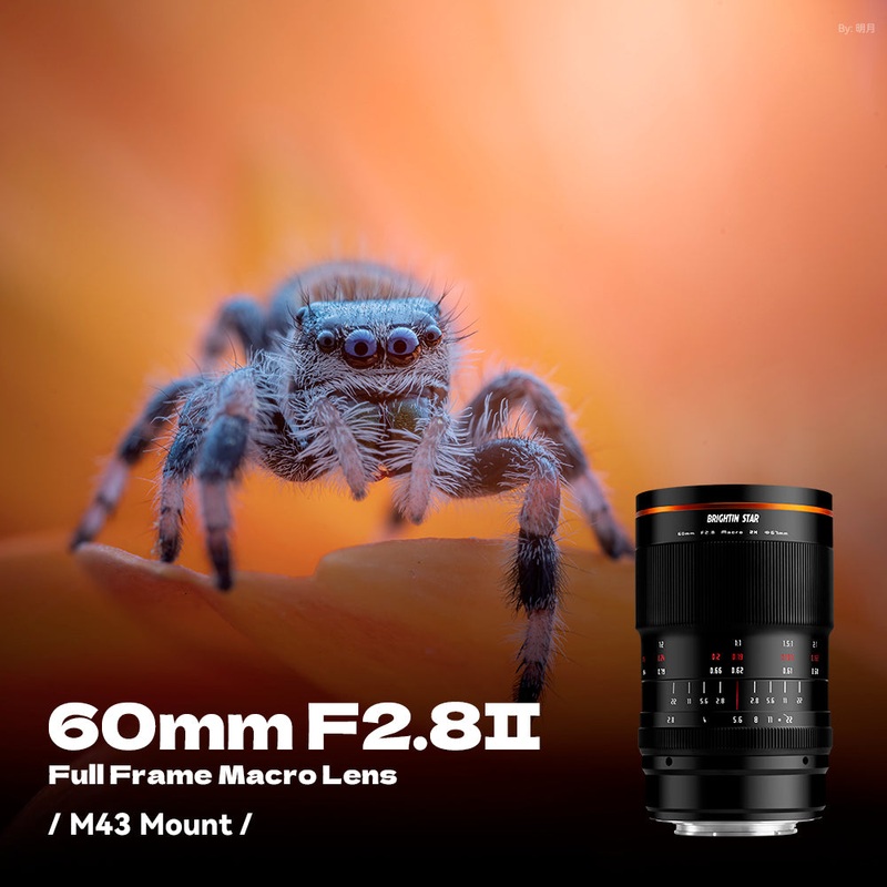60mm F2.8 II 2X Macro Magnification Manual Focus Lens Fit for Panasonic/Olympus Micro 4/3 Mount Fit for Micro 4/3 Mount
