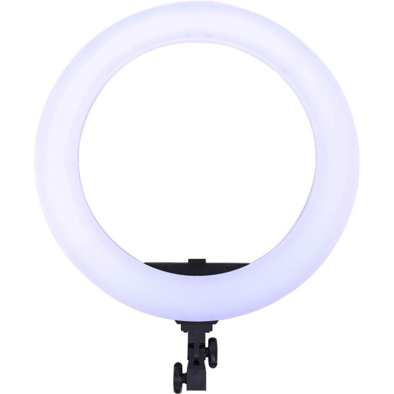 Dracast LED180 Daylight Ring Light 1 Day