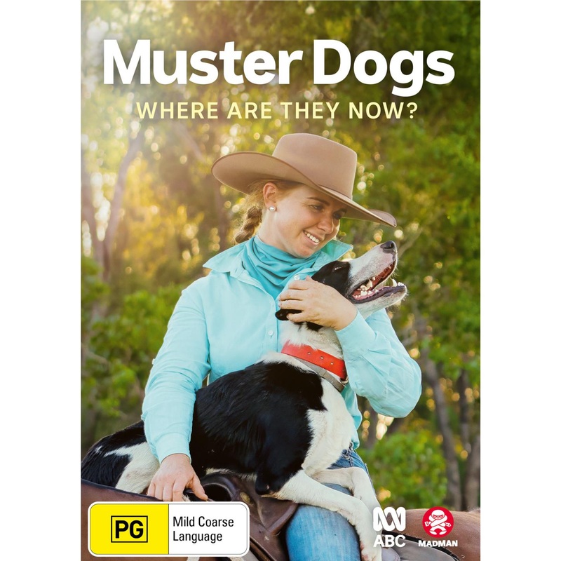 Muster Dogs: Where Are They Now?