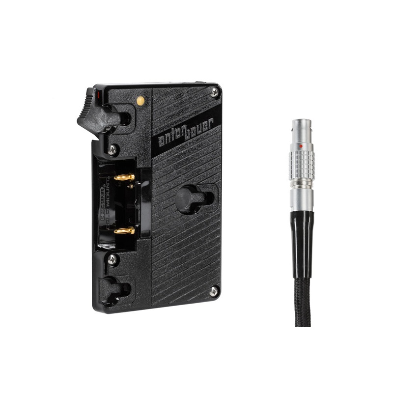 WC Gold Mount (DSMC1/DSMC2)