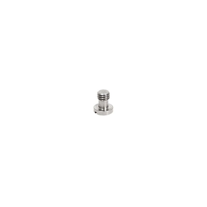 Bridgeplate Screw