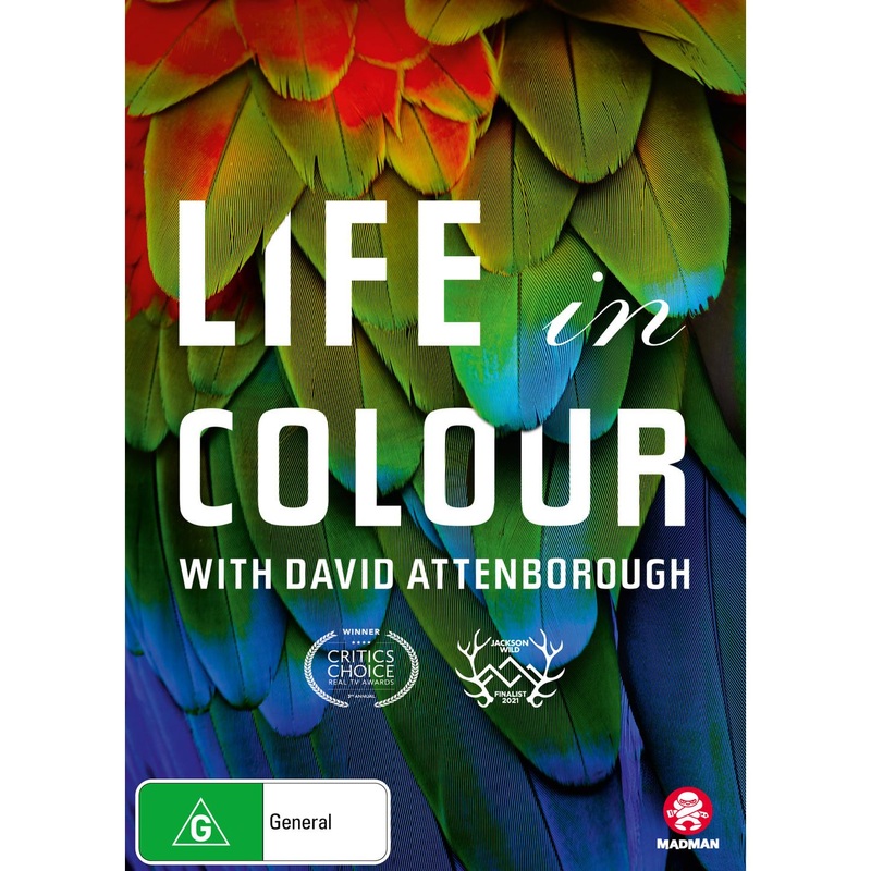 Life In Colour With David Attenborough